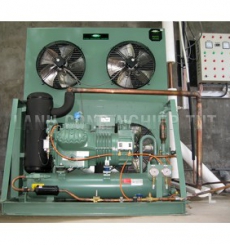 Cụm máy nén BITZER dàn ngưng giải nhiệt gió (LH)