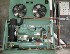 Cụm máy nén BITZER dàn ngưng giải nhiệt gió (LH)